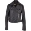 Short Leather Biker Jacket Black : Brooklyn -Default Template 2 short leather biker jacket black brooklyn p1712 14940 image