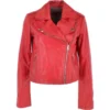 Short Leather Biker Jacket Red : Brooklyn 1 Short Leather Biker Jacket Red : Brooklyn -Default Template 2 short leather biker jacket red brooklyn p3264 14944 image